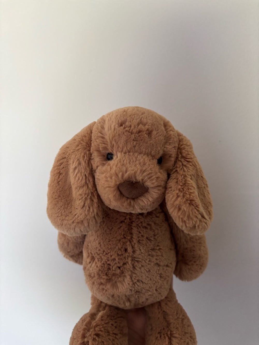Authentic Jellycat Bashful Toffee Puppy NWT